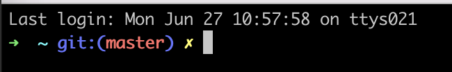 Ohmyzsh terminal